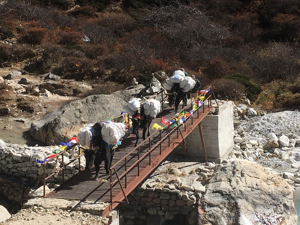 trekking alone in nepal